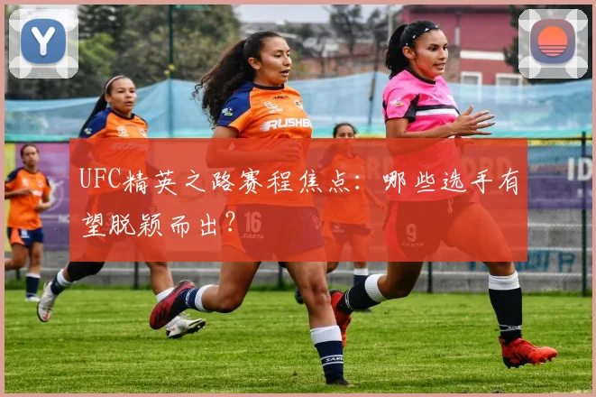 UFC精英之路赛程焦点:哪些选手有望脱颖而出?