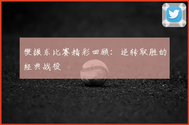 樊振东比赛精彩回顾：逆转取胜的经典战役