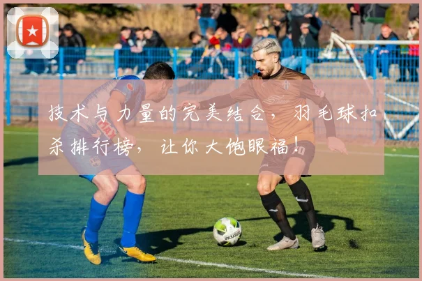 技术与力量的完美结合，羽毛球扣杀排行榜，让你大饱眼福！