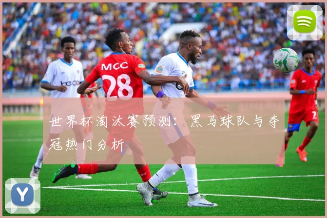 世界杯淘汰赛预测:黑马球队与夺冠热门分析